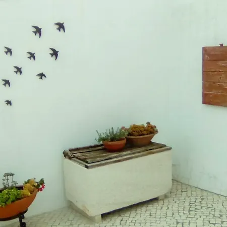 Casas Do Barrio Villa Alcobaça