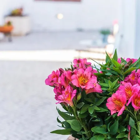 Casas Do Barrio * Alcobaça