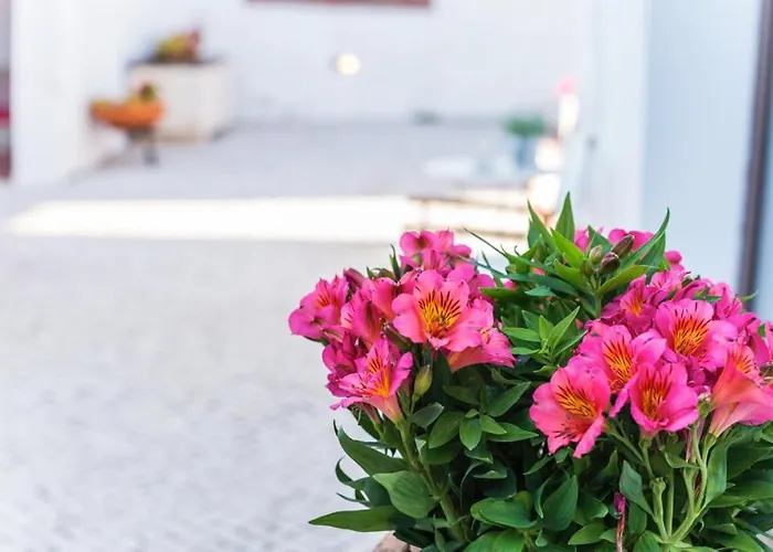 Casas Do Barrio * Alcobaça